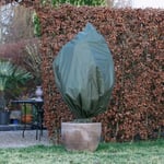 Natur Frostskydd för växter 50 g/m² 157x100 cm grön