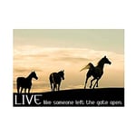 Wee Blue Coo Quote Horses Live Like Someone Left Gate Open Wall Art Print