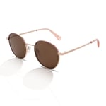 Ted Baker Sunglasses Women's TB1679 Willa 401 Rose Gold/Brown