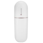 Nano Face Mist Sprayer for Hydrating Portable Face Humidifier DTS UK