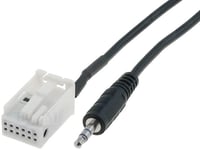 Cable Adaptateur AUX Jack - Citroen C4 ap04
