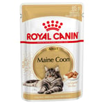 Royal Canin Maine Coon Adult i sauce - Økonomipakke: 48 x 85 g