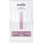 Babor Collagen Booster Ampuller