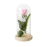 Rose Led Lamp Glass Cover Flower Night Light Home Decoration No.2