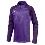 Puma CUP Training 1/4 Zip Core Sweater - Prism Violet/Parachute Purple, Size 128