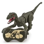 Remote Control Velociraptor Dinosaur Toys, 2.4GHz Light & Sounds Electric Walking Robot RC Dino