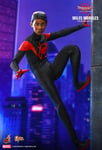 CLEARANCE HOT TOYS 1/6 SPIDER-MAN INTO THE SPIDER-VERSE MMS567 MILES MORALES