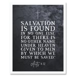 Acts 4:12 Salvation is Found In No One Else Christian Bible Verse Quote Scripture Typography Art Print Framed Poster Wall Decor 12x16 inch