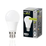 Integral Ampoule LED 2PK GLS E27 non-dimmable à double capteur de crépuscule - Blanc chaud 2700K, 806lm, 8W (équivalent 60W) - Basse consommation et idéale pour l'extérieur
