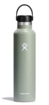 Hydro Flask 24 oz Standard Flex Cap Agave