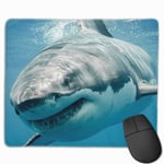 Shark Mouse Pad with Stitched Edge Computer Mouse Pad with Non-Slip Rubber Base for Computers Laptop PC Gmaing Work Mouse Pad
