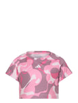 Jg Tr-Es Aop T Pink Adidas Sportswear