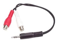 StarTech.com Câble adaptateur audio Mini-Jack 3,5 mm mâle vers 2x RCA femelle - 15 cm - Cordon Mini Jack RCA - Câble audio - RCA x 2 femelle pour mini-phone stereo 3.5 mm mâle - 15.24 cm - noir -...