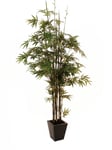 EUROPALMS Bamboo black trunk, artificial plant, 240cm, Europalms Bambu svart stam, 240cm