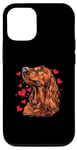 iPhone 14 Pro Irish Setter Hearts Dog Breed Graphic Case