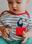Lilly and Sid LILLY + SID GOTS Stripe T-Shirt & Shorts 3-6 Month Multi Coloured