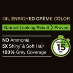Garnier Black Naturals Hair Dye Original Deep Black Shade 1.0   - 4 x Pack
