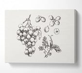 Bounty Harvest Canvas Print Wall Art - Small 14 x 20 Inches