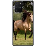 Samsung Galaxy S10 Lite Gennemsigtigt Telefoncover Häst