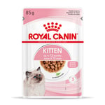 Royal Canin Kitten i sauce - Økonomipakke: 96 x 85 g