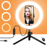 Selfie Ring Light,10inch Ring Light with Tripod Stand and Phone Holder Desktop LED Ringlight for Video Shooting Makeup,Photography and Self-Portrait