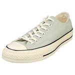 Converse Chuck 70 Ox Unisex Sage Casual Trainers - 10 UK