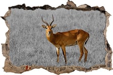pixxp Rint 3D WD s4313 _ 62 x 42 Jolie Gazelle Dorcas sur Prairie Sèche percée 3D Sticker Mural Mural en Vinyle Noir/Blanc 62 x 42 x 0,02 cm