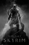 Tainsi ASHER Gift Skyrim, Dragonborn,Wood, Various - Matte poster Frameless Gift 11 x 17 inch(28cm x 43cm)-LS-211