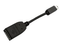 Pny - Displayport-Adapter - Mini Displayport Till Displayport - Svart