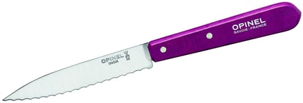 Opinel Adult Kitchen Knife No. 113 Rust Free Sandvik Steel, Sägezahnung, Beechwood Handle Chef's Knife, Violet Multi, One Size