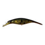 Platypus 19 cm GoFish Custom Wobbler