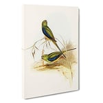 Blue-banded Grass-Parakeets by Elizabeth Gould Canvas Print for Living Room Bedroom Home Office Décor, Wall Art Picture Ready to Hang, 30 x 20 Inch (76 x 50 cm)