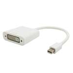 Adapter Mini Displayport Hane - DVI Hona