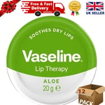 Vaseline Lip Therapy Aloe Vera, 20g- Pack 12