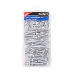 Bluespot 300pc Assorted M5 M6 M8 Stainless Steel Bolts CapHead Nuts Washer