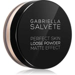 Gabriella Salvete Perfect Skin Loose Powder Matterende pudder Skygge 01 6,5 g