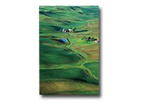 Epson Premium - Halvblank - A3 (297 X 420 Mm) - 251 G/M² - 20 Ark Fotopapper - För Surecolor Sc-P700, P7500, P900, T2100, T3100, T3405, T5100, T5400, T5405
