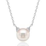 14K guldpläterat sterlingsilver AAA+ sötvatten odlad pärla katt pärla hänge, moderiktigt och vackert.