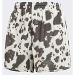 adidas Original adidas Originals Satin Shorts, storlek Large