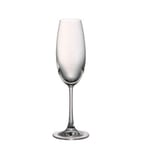 Rosenthal DiVino Champagneglass 22 cl, 6-Pakk Klar