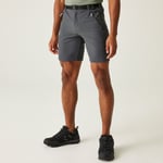 Regatta Mens Xert Iii Stretch Walking Shorts Seal Grey, Size: 46