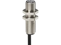 Induktiv Ip67 Fl M12 Pnp No Sn=4 Mm 2 M Kabel