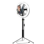 LED Ring Light with Tripod Stand,Flexible Holder Mirror Desk Makeup Ringlight with Dimmable 3 Light Modes and 10 Brightness Level,for Selfie, Makeu,YouTube