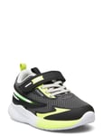 Pnf 39675 Shoes Sports Shoes Running-training Shoes Multi/patterned Primigi
