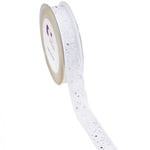 Creativ Organza Band Glitter - B. 25mm Silver