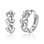 Vackra örhängen med strasskristaller - silver ringar