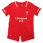 Liverpool FC Official Baby Football Crest T-Shirt & Shorts Set