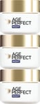 L'Oréal Paris Age Perfect Collagen Hydrating Night Cream 50m X 3
