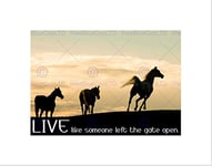 Wee Blue Coo Horses Live Like Someone Left The Gate Open Quote Typography Art Wall Art Print