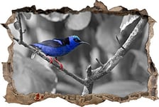 pixxp Rint 3D WD s4176 _ 92 x 62 rares Turquoise nasch Oiseau sur Branche percée 3D Sticker Mural Mural en Vinyle, Noir/Blanc, 92 x 62 x 0,02 cm